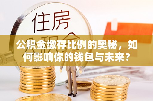 洛南公积金缴存比例的奥秘，如何影响你的钱包与未来？