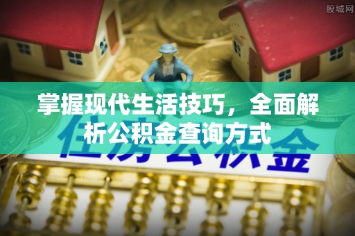 兰西掌握现代生活技巧，全面解析公积金查询方式