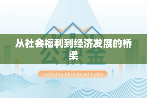 项城从社会福利到经济发展的桥梁