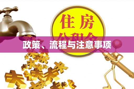 巧家政策、流程与注意事项
