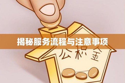 太麻里揭秘服务流程与注意事项