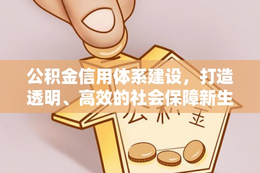 白沙公积金信用体系建设，打造透明、高效的社会保障新生态