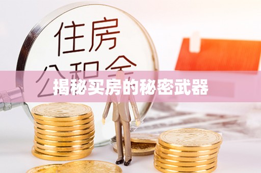 虎林揭秘买房的秘密武器