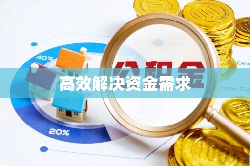 太麻里高效解决资金需求