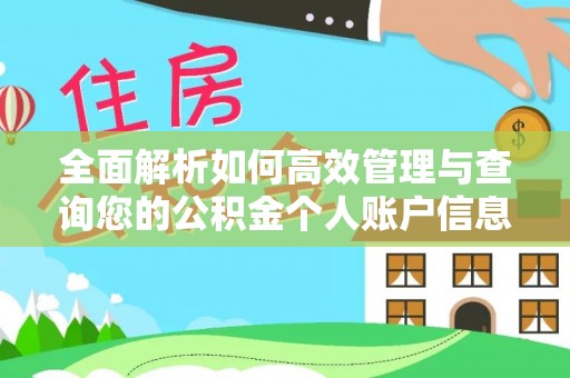 太麻里全面解析如何高效管理与查询您的公积金个人账户信息