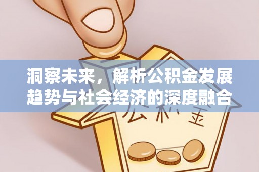 博野洞察未来，解析公积金发展趋势与社会经济的深度融合