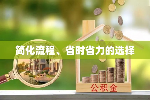 项城简化流程、省时省力的选择