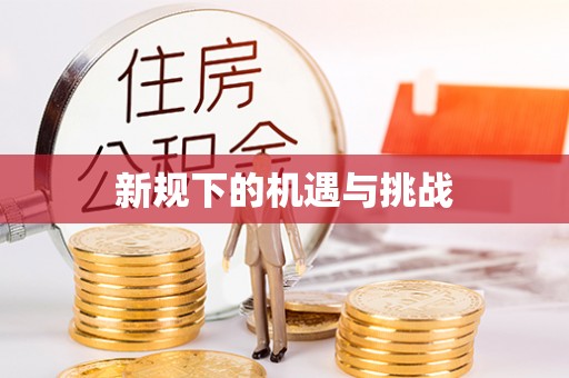 临夏新规下的机遇与挑战