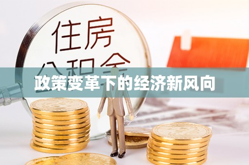 宕昌政策变革下的经济新风向