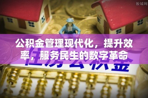 六合公积金管理现代化，提升效率，服务民生的数字革命