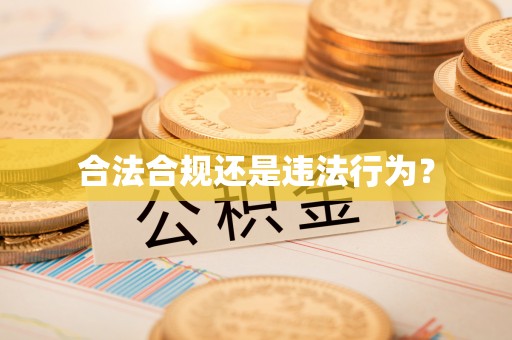洛南合法合规还是违法行为？