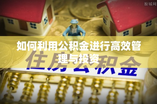神冈如何利用公积金进行高效管理与投资