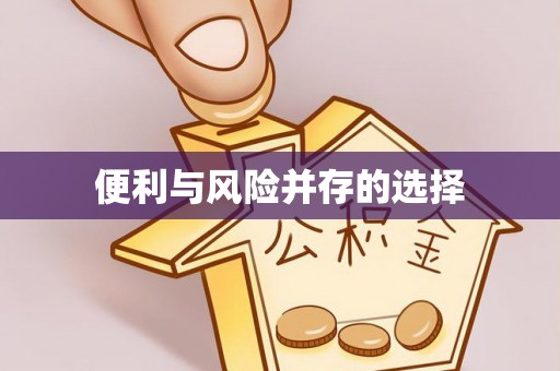 定兴便利与风险并存的选择