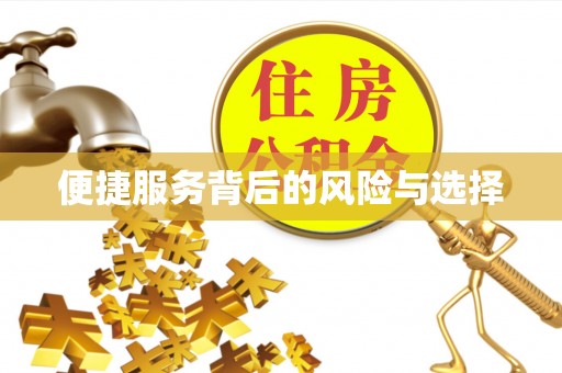 平塘便捷服务背后的风险与选择