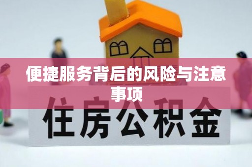 文安便捷服务背后的风险与注意事项