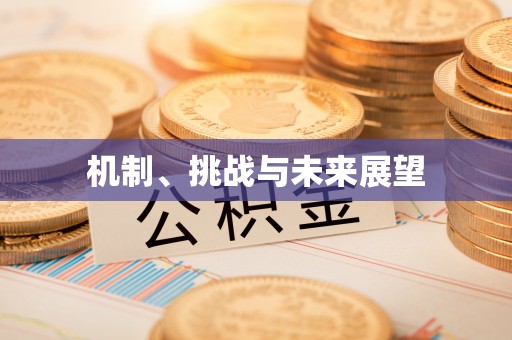 文安机制、挑战与未来展望